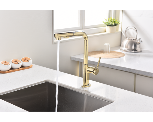 Смеситель для кухни Paulmark Neo Ne214419-G Золото