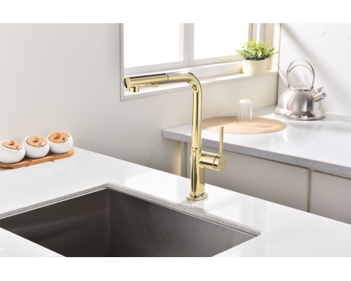 Смеситель для кухни Paulmark Neo Ne214419-G Золото