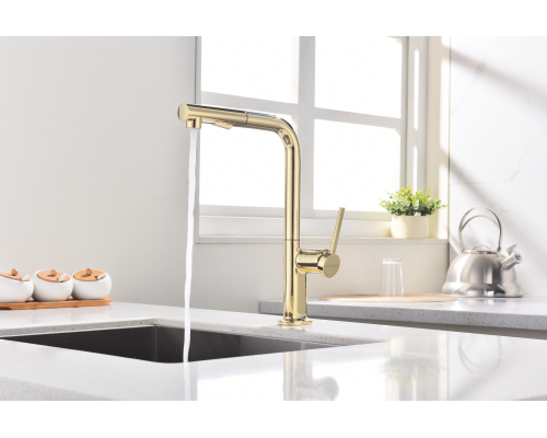 Смеситель для кухни Paulmark Neo Ne214419-G Золото