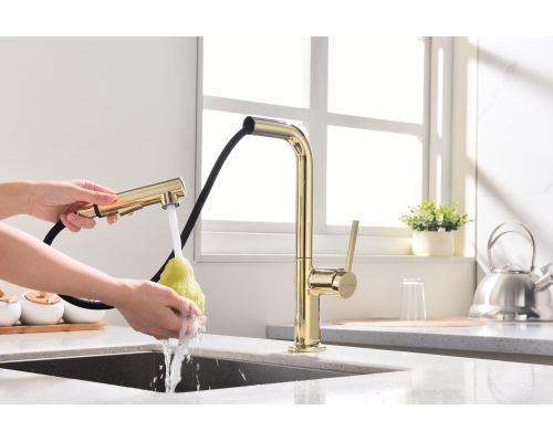 Смеситель для кухни Paulmark Neo Ne214419-G Золото