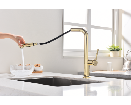 Смеситель для кухни Paulmark Neo Ne214419-G Золото