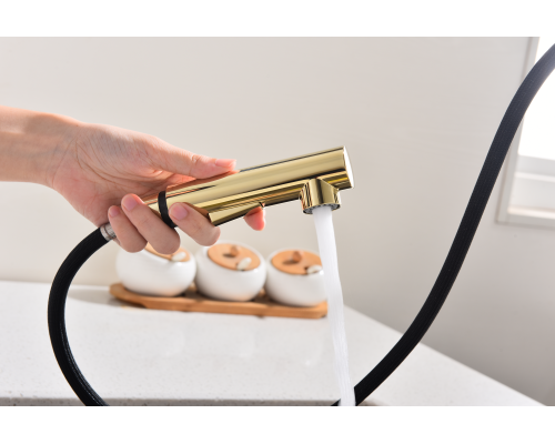 Смеситель для кухни Paulmark Neo Ne214419-G Золото