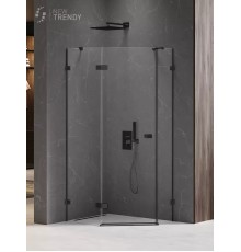 Душевое ограждение NEW TRENDY AVEXA BLACK L 100x80x200 черный