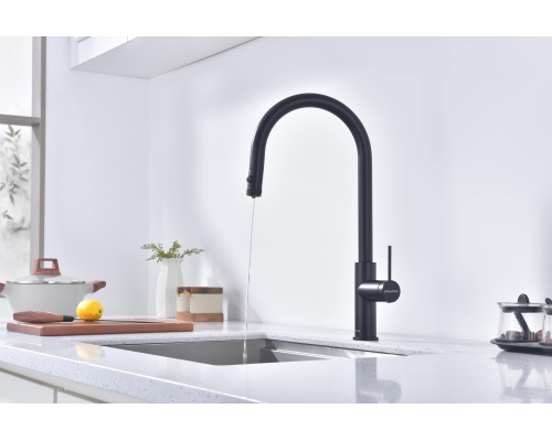 Смеситель для кухни Paulmark Galant Ga213077-AN Антрацит