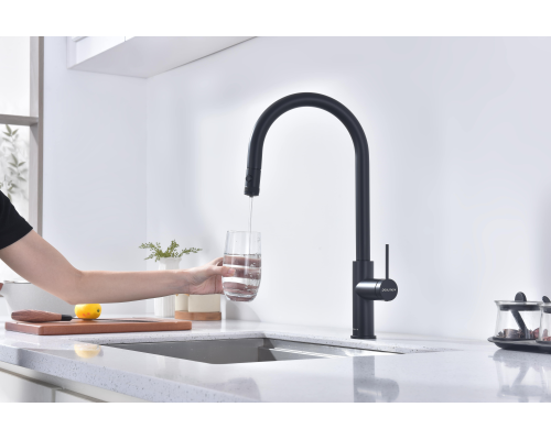 Смеситель для кухни Paulmark Galant Ga213077-AN Антрацит