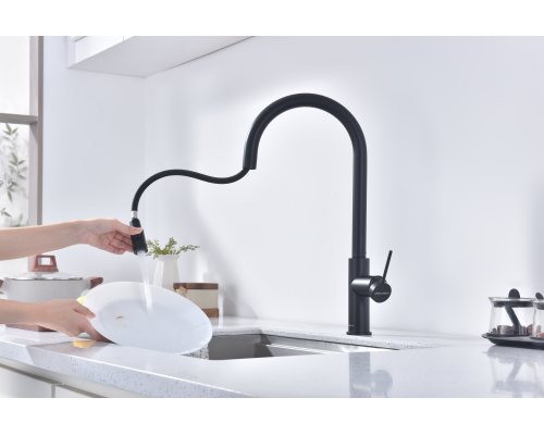 Смеситель для кухни Paulmark Galant Ga213077-AN Антрацит