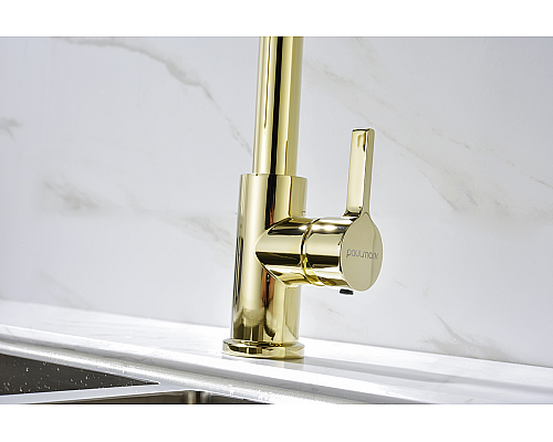 Смеситель для кухни Paulmark Halt золото Ha214021-G