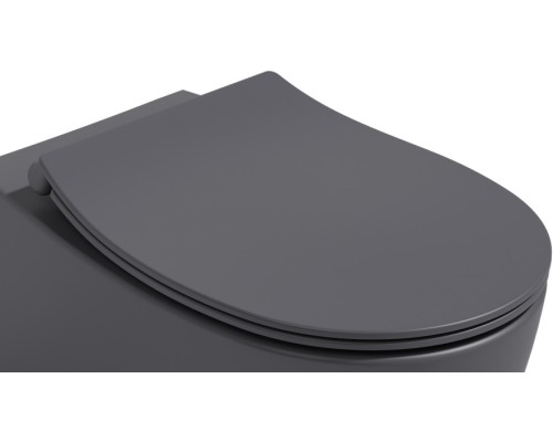 Сиденье для унитаза ISVEA Sentimenti Neo с микролифтом антрацит матовый 40D80522I-S