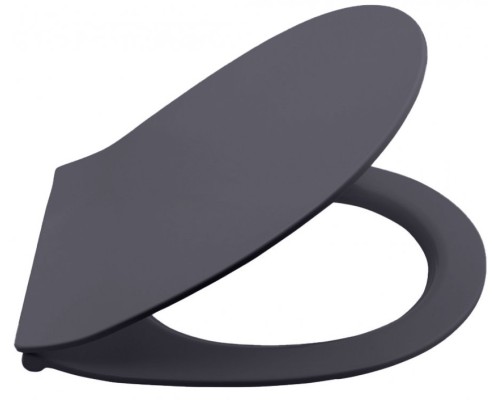 Сиденье для унитаза ISVEA Sentimenti Neo с микролифтом антрацит матовый 40D80522I-S