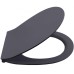 Сиденье для унитаза ISVEA Sentimenti Neo с микролифтом антрацит матовый 40D80522I-S