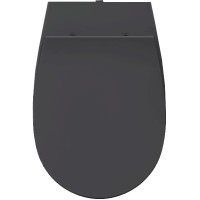 Сиденье для унитаза ISVEA Sentimenti Neo с микролифтом антрацит матовый 40D80522I-S