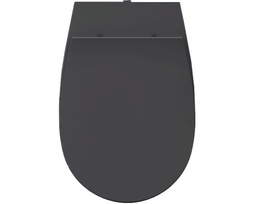 Сиденье для унитаза ISVEA Sentimenti Neo с микролифтом антрацит матовый 40D80522I-S