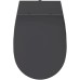 Сиденье для унитаза ISVEA Sentimenti Neo с микролифтом антрацит матовый 40D80522I-S