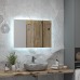 Зеркало Taliente Zled-T с LED-подсветкой, 100x70см, прямоугольное