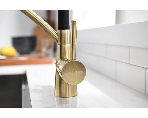 Смеситель для кухни Paulmark Sigen Si213111-BR