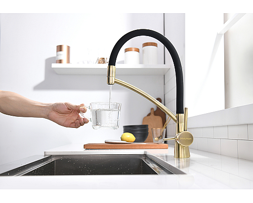 Смеситель для кухни Paulmark Sigen Si213111-BR