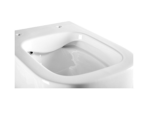 Безободковый подвесной унитаз Charus Pinto EWC700-126W сиденьем микролифт