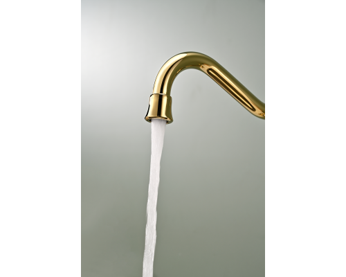 Смеситель для кухни Paulmark Retro золото Re213226-G