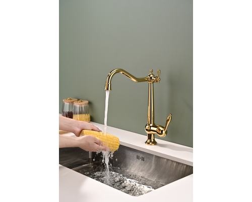 Смеситель для кухни Paulmark Retro золото Re213226-G