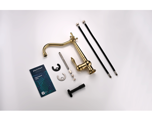 Смеситель для кухни Paulmark Retro золото Re213226-G