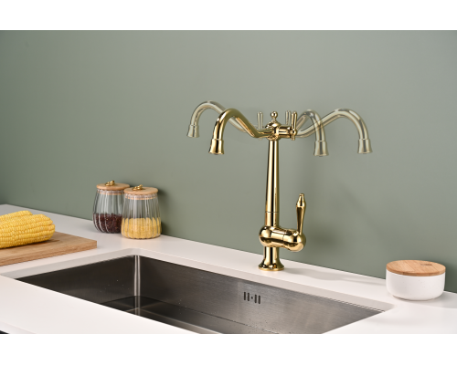 Смеситель для кухни Paulmark Retro золото Re213226-G