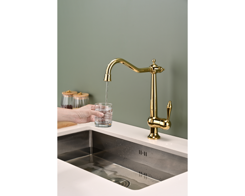 Смеситель для кухни Paulmark Retro золото Re213226-G