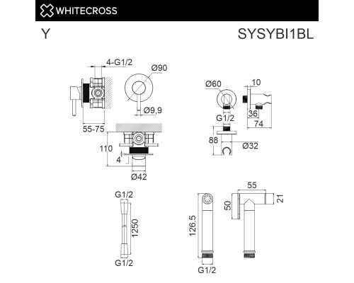 Система для биде скрытого монтажа WHITECROSS Y SYSYBI1BL (черный матовый)