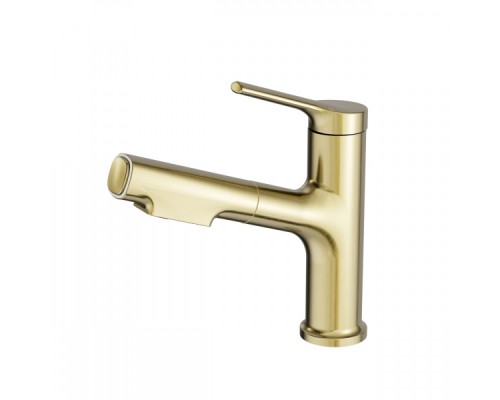 Смеситель для раковины с выдвижным изливом Wonzon&Woghand, Брашированное золото