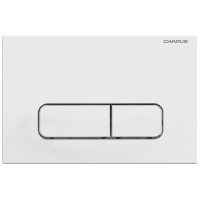 Кнопка смыва Charus Elegia FP.320.12.01 белый матовый