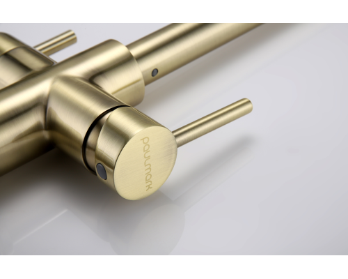 Смеситель для кухни Paulmark Lange La214212-BR Бронза