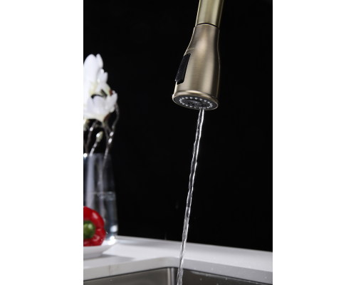 Смеситель для кухни Paulmark Lange La214212-BR Бронза