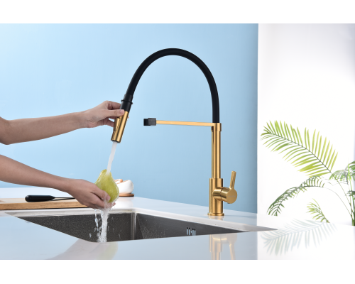 Смеситель для кухни Paulmark Halt Ha214021-BG Брашированное золото