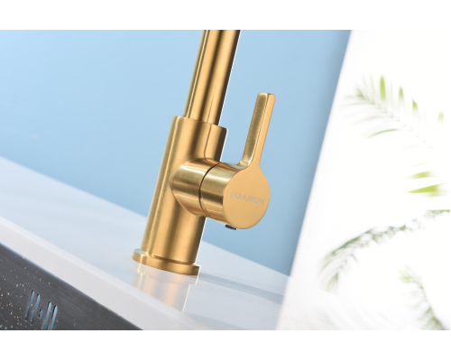 Смеситель для кухни Paulmark Halt Ha214021-BG Брашированное золото