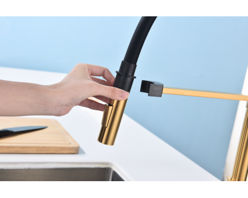 Смеситель для кухни Paulmark Halt Ha214021-BG Брашированное золото