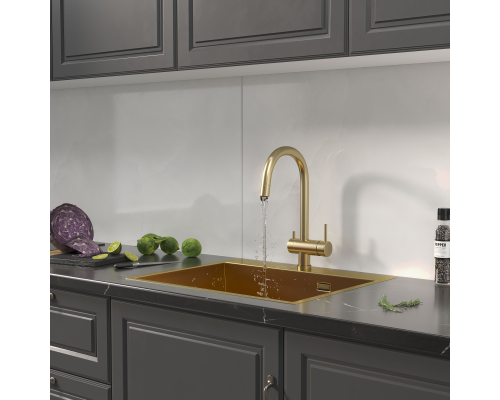 Кухонная мойка Reflexion Iseo RX2260GD брашированное золото