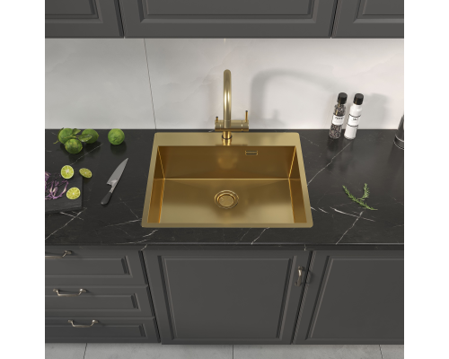 Кухонная мойка Reflexion Iseo RX2260GD брашированное золото