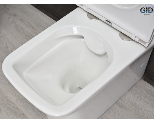 Напольный унитаз с бачком Gid Tn2125