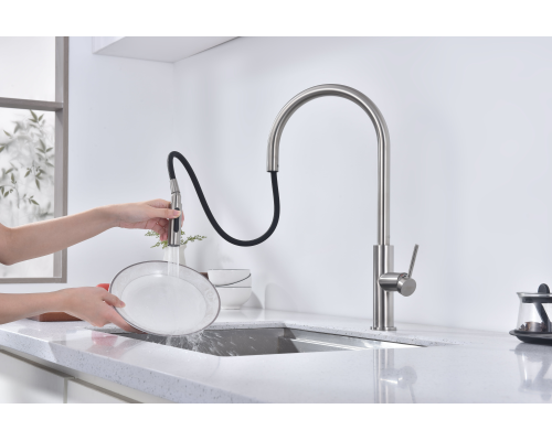 Смеситель для кухни Paulmark Senso Se215180-BS Брашированная сталь