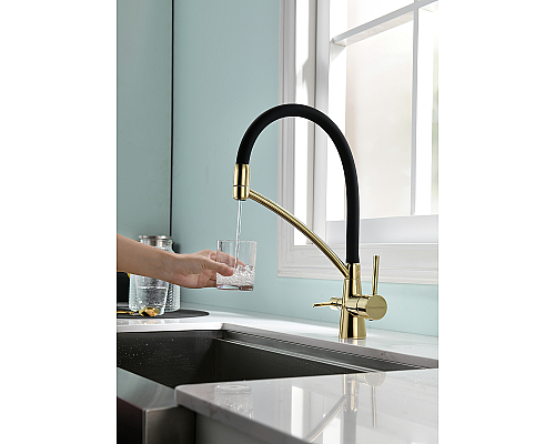 Смеситель для кухни Paulmark Siegen Si213111-G Золото