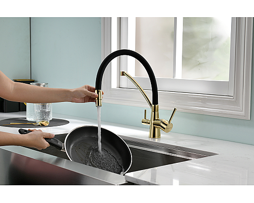 Смеситель для кухни Paulmark Siegen Si213111-G Золото