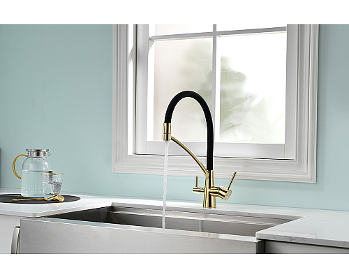 Смеситель для кухни Paulmark Siegen Si213111-G Золото