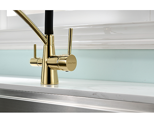 Смеситель для кухни Paulmark Siegen Si213111-G Золото