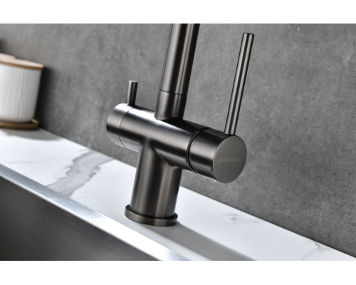 Смеситель для кухни Paulmark Serpentine Se213222-GM Вороненая сталь