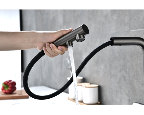 Смеситель для кухни Paulmark Serpentine Se213222-GM Вороненая сталь