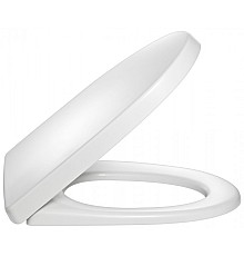 Крышка-сиденье Jacob Delafon 8409K00 с микролифтом петли хром