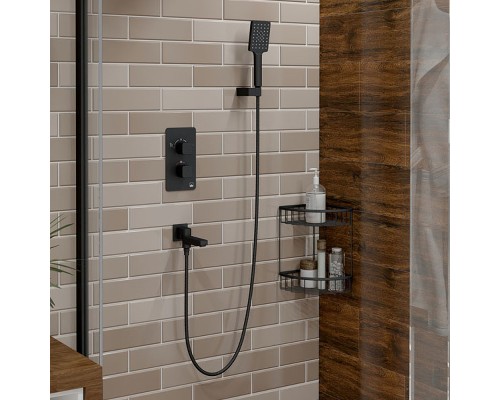 Душевая система Timo Petruma SX-5019/03SM Черный