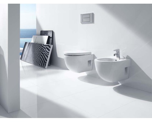 Чаша Roca Meridian 346248000 подвесная