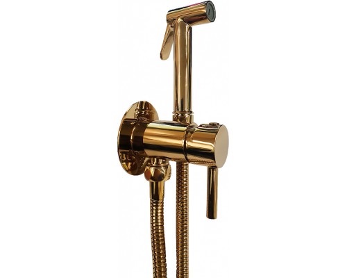 Гигиенический душ Paffoni Tweet Round ZDUP110HG со смесителем, с внутренней частью