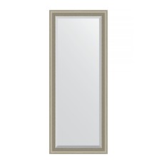 Зеркало Evoform Exclusive Floor 201х81 BY 6120 с фацетом в багетной раме - Хамелеон 88 мм