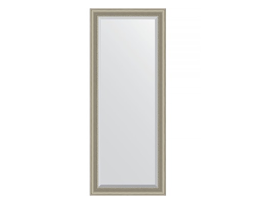 Зеркало Evoform Exclusive Floor 201х81 BY 6120 с фацетом в багетной раме - Хамелеон 88 мм
